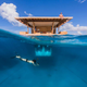 Illustration for article titled Underwater hotel room in Zanzibar lets you sleep with the fishes